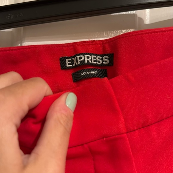 Express Columnist Ankle Pants - Picture 4 of 9
